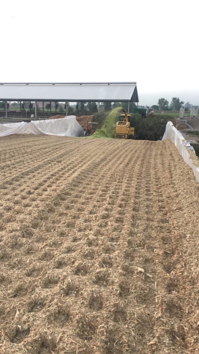 Farming Techniques