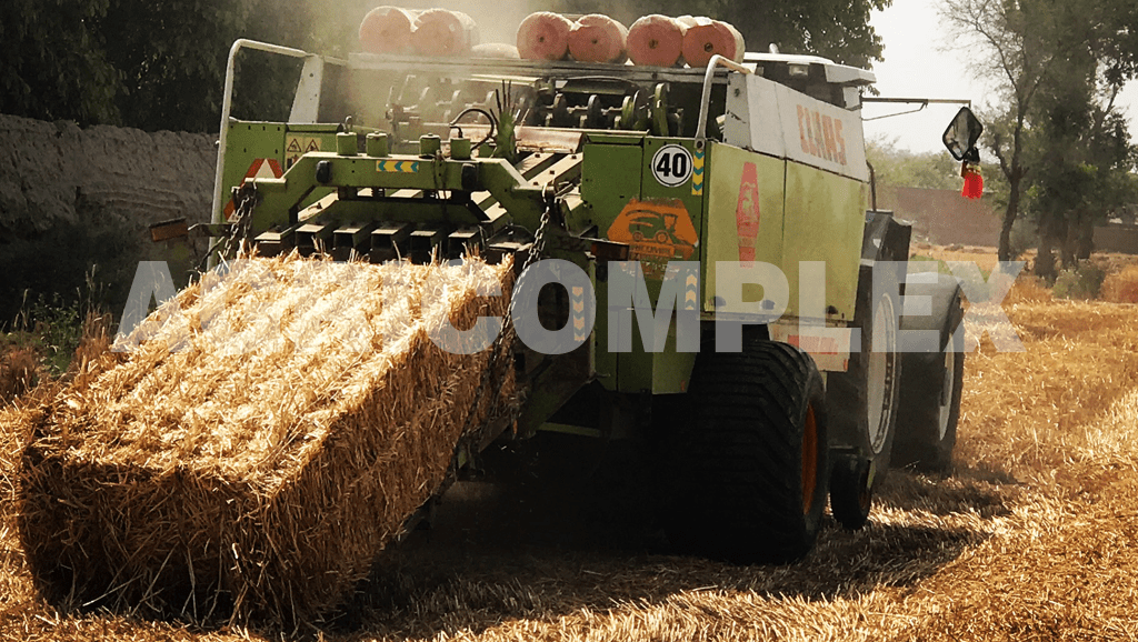 Vision 5 Wheat straw suppliers