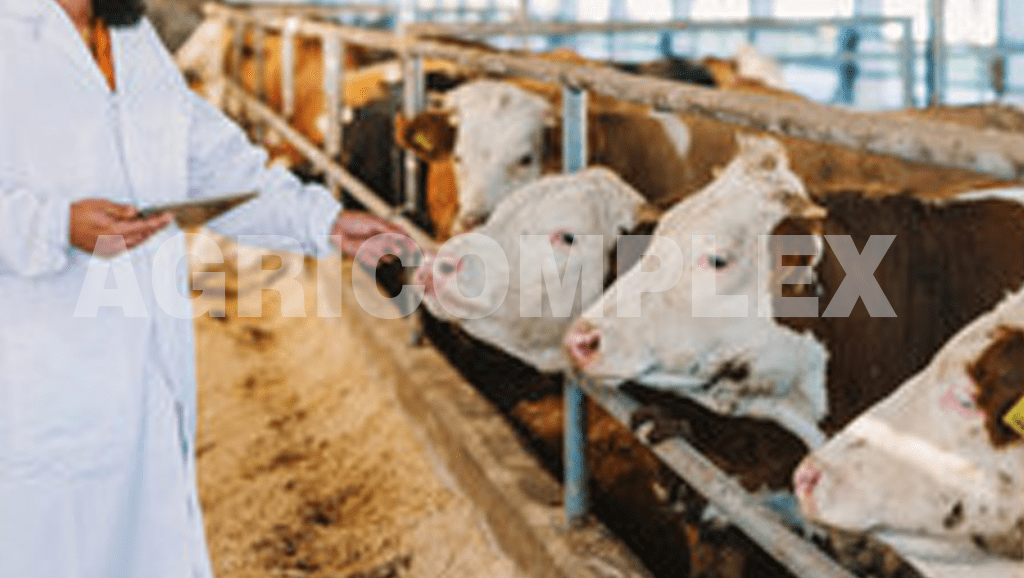 Consultancy Services 8 Animal Forage