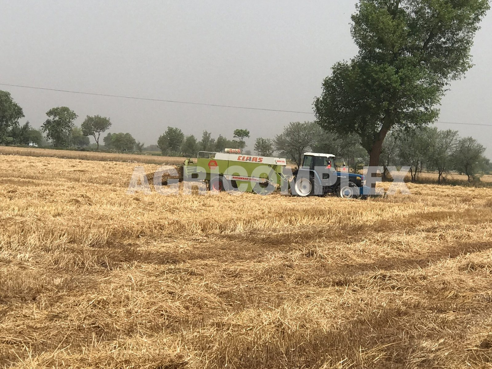 Vision 2 Wheat Straw Suppliers in Pakistan