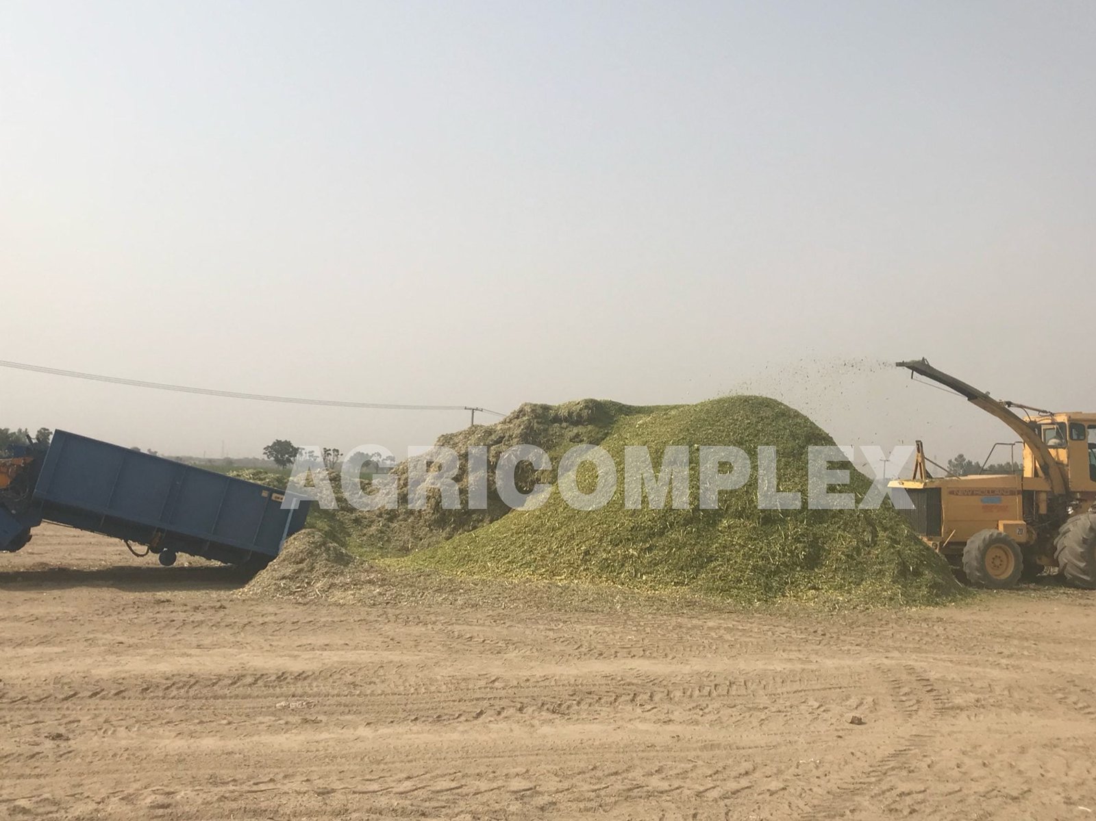 Vision 3 Corn Silage for sale