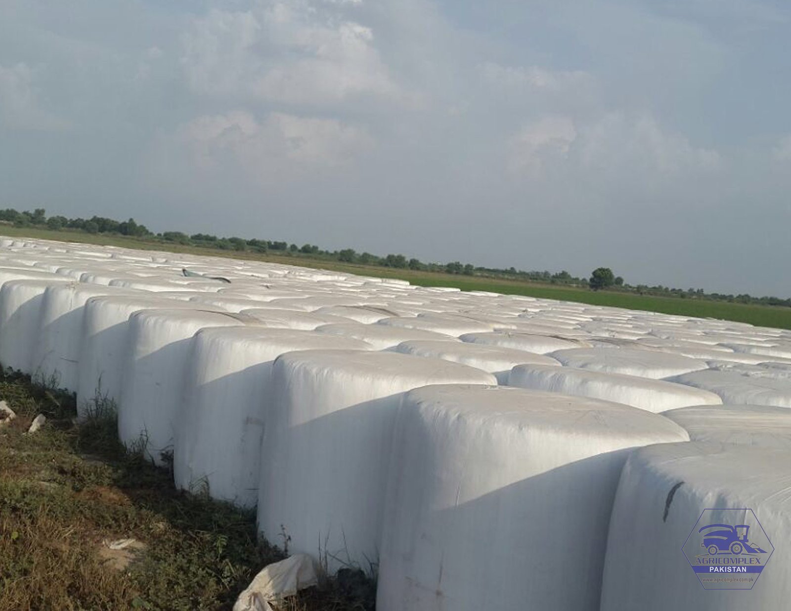 Mission 2 Corn Silage bales