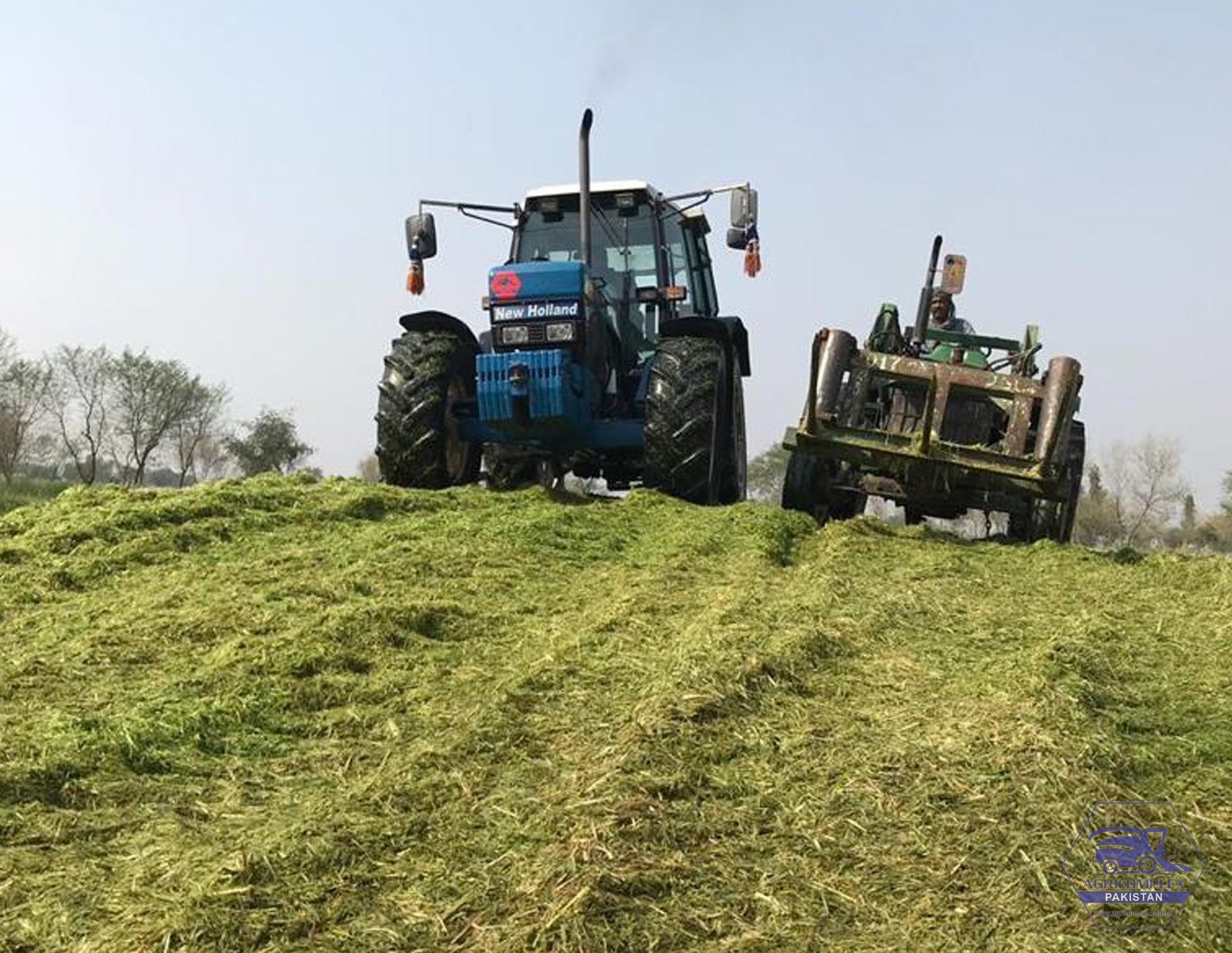 Oat Silage