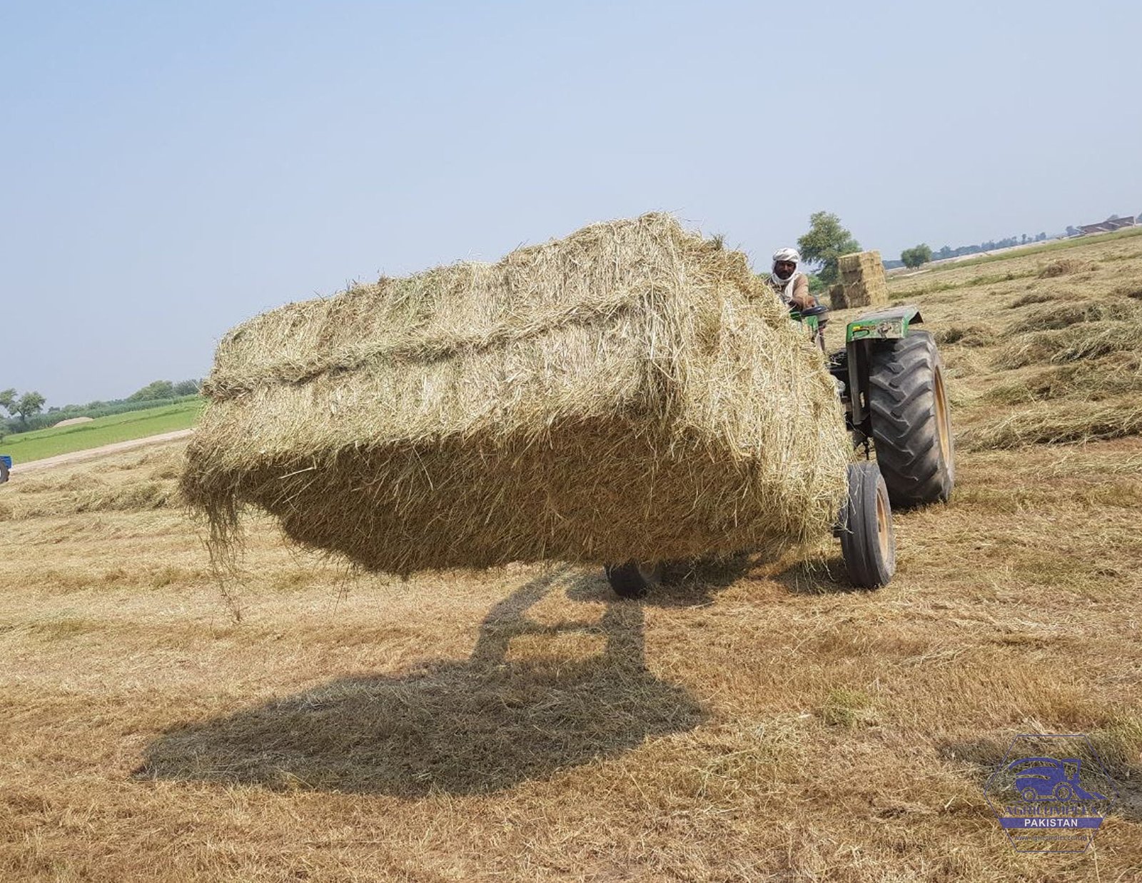 Value Statement 1 Animal Forage | wheat Straw
