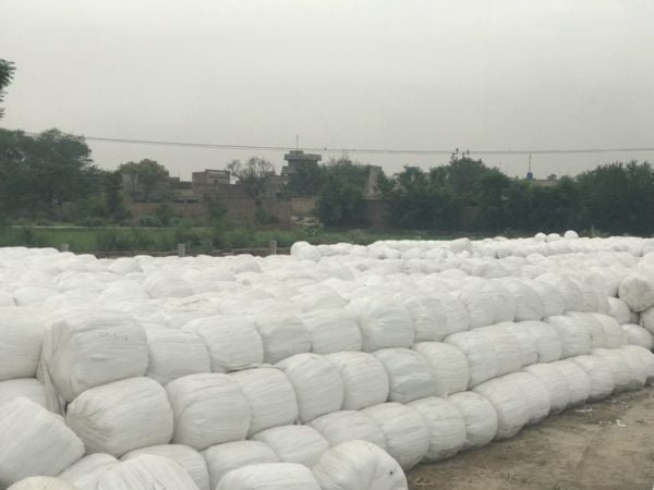 Silage Bales