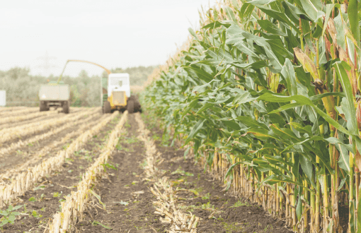 Corn Silage Trading in Pakistan: Agricomplex.com.pk 1 Relationship with Retailer