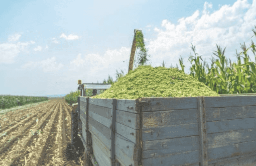 Corn Silage Trading in Pakistan: Agricomplex.com.pk 2 Corn Silage Trading in Pakistan
