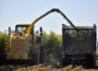 Corn Silage FAQs