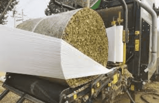 Corn Silage Trading In Pakistan: Best Guide 2023