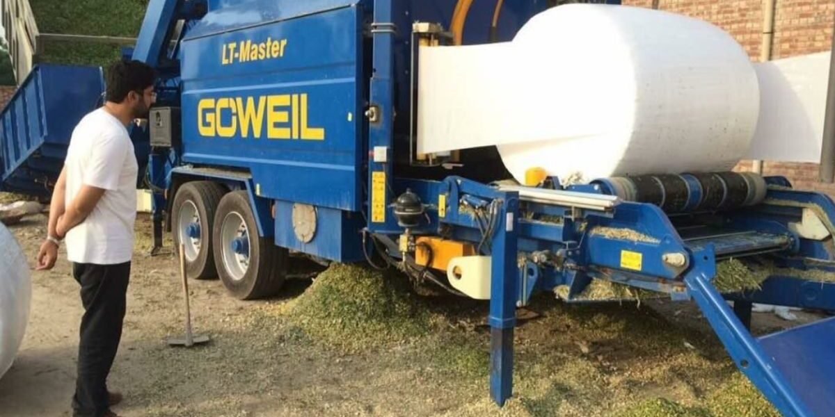 corn silage bales corn silage bales