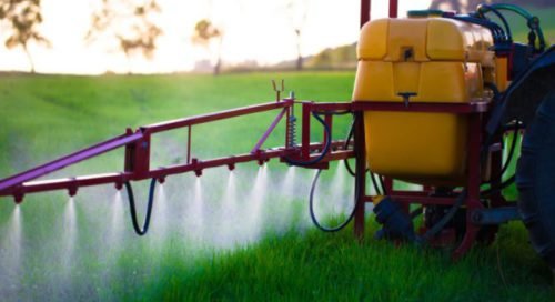 Pesticide for corn silage