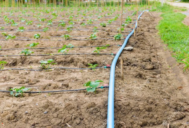 What Is The Main Advantage Of Drip Irrigation