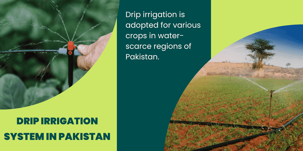 Drip Irrigation System In Pakistan Best Guide 2023