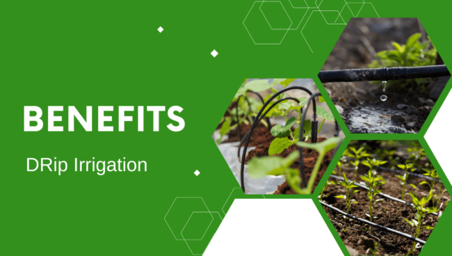 benefits of drip irrigation system