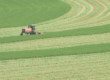 Alfalfa Yield Per Acre: A Comprehensive Guide