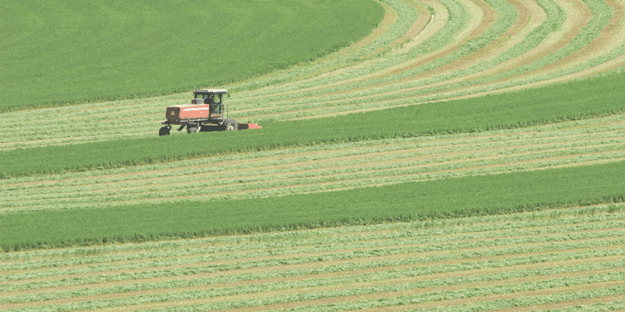 Alfalfa Yield Per Acre Alfalfa Yield Per Acre: A Comprehensive Guide