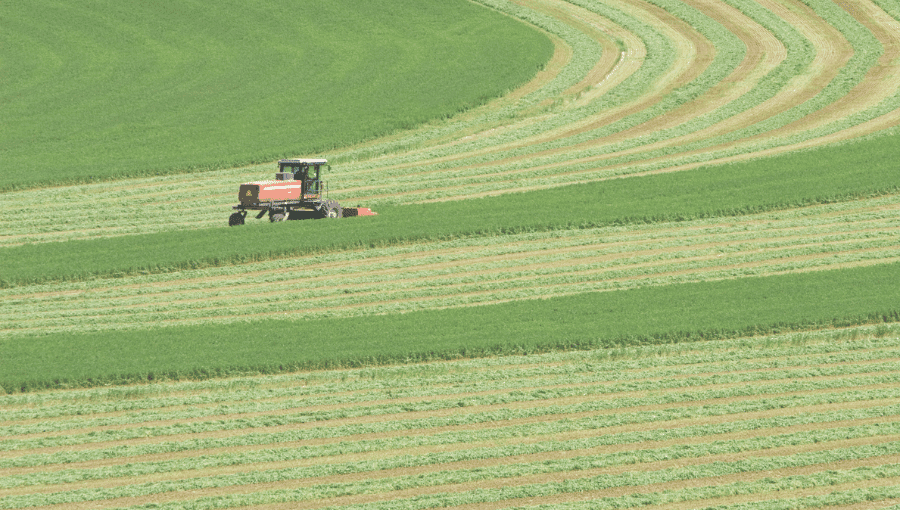 Alfalfa Yield Per Acre: A Comprehensive Guide