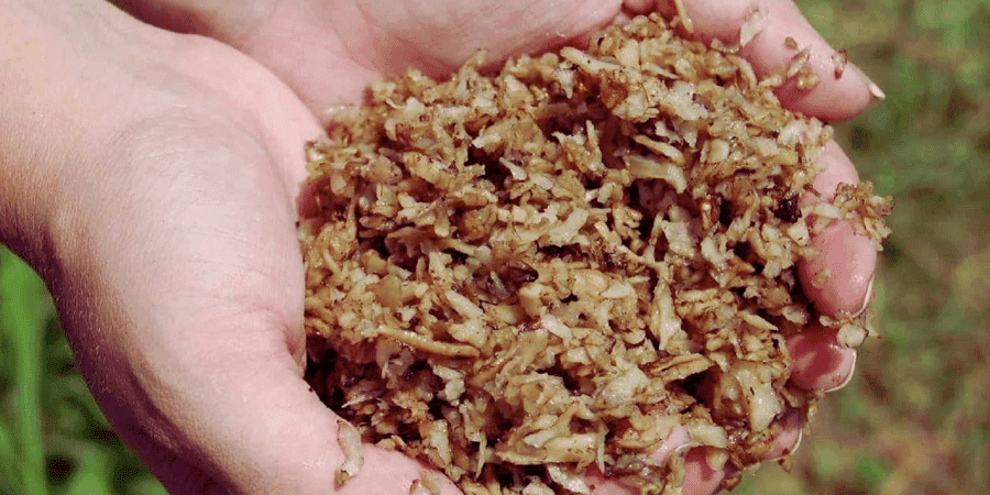 Beet Pulp for Goats Beet Pulp for Goats