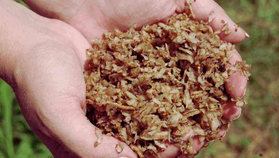 Beet Pulp for Goats Beet Pulp for Goats