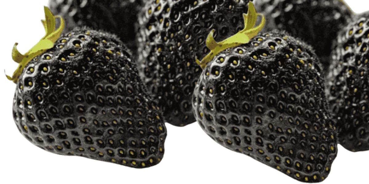 Black Strawberries