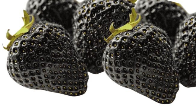 Black Strawberries Black Strawberries