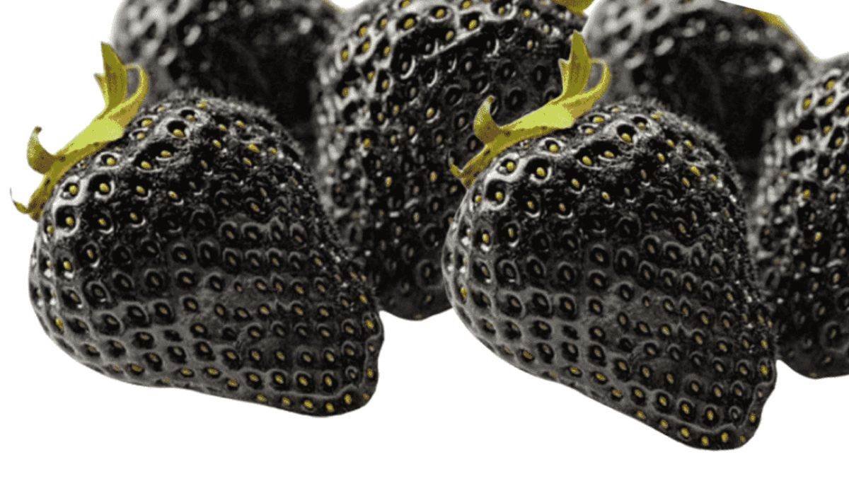 Black Strawberries