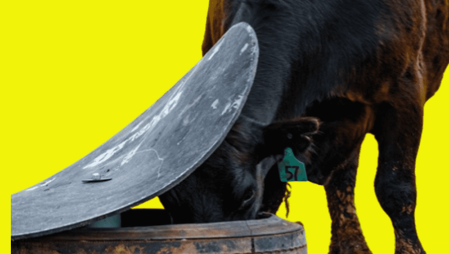 Cattle Mineral Feeder with Fly Control Cattle Mineral Feeder with Fly Control