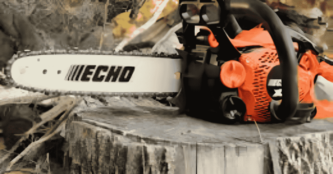 Chainsaw dogs: The loyal companions of lumberjacks Chainsaw Dogs