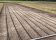 Drip Irrigation System Revolution
