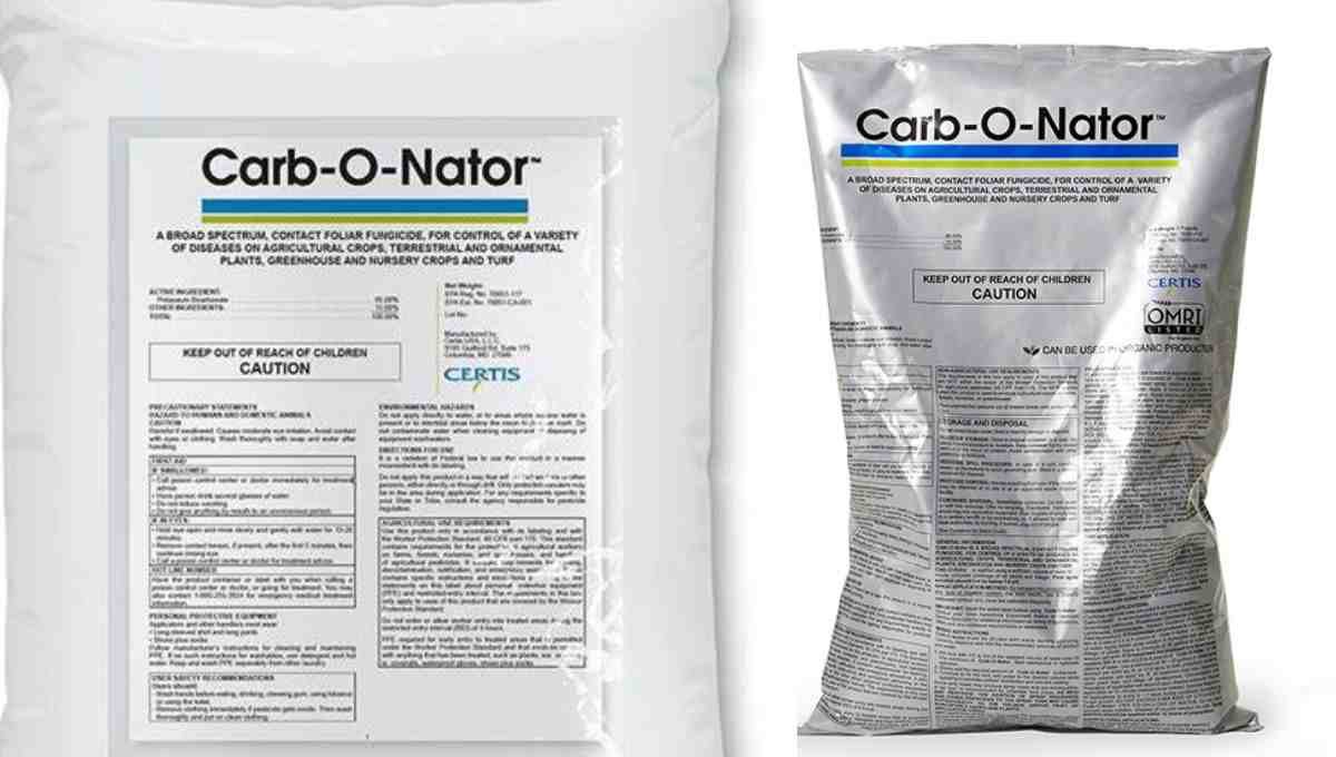 Carb-o-nator: Best Ultimate Guideline about Carb-o-nator in 2023