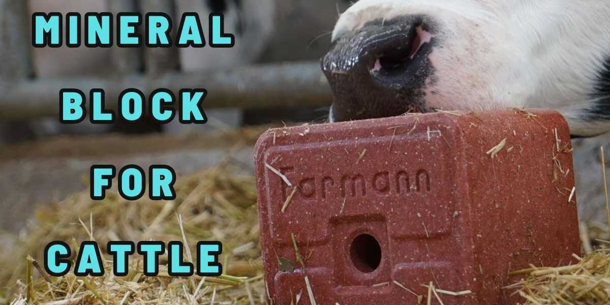 Mineral Block for Cattle Mineral Block for Cattle