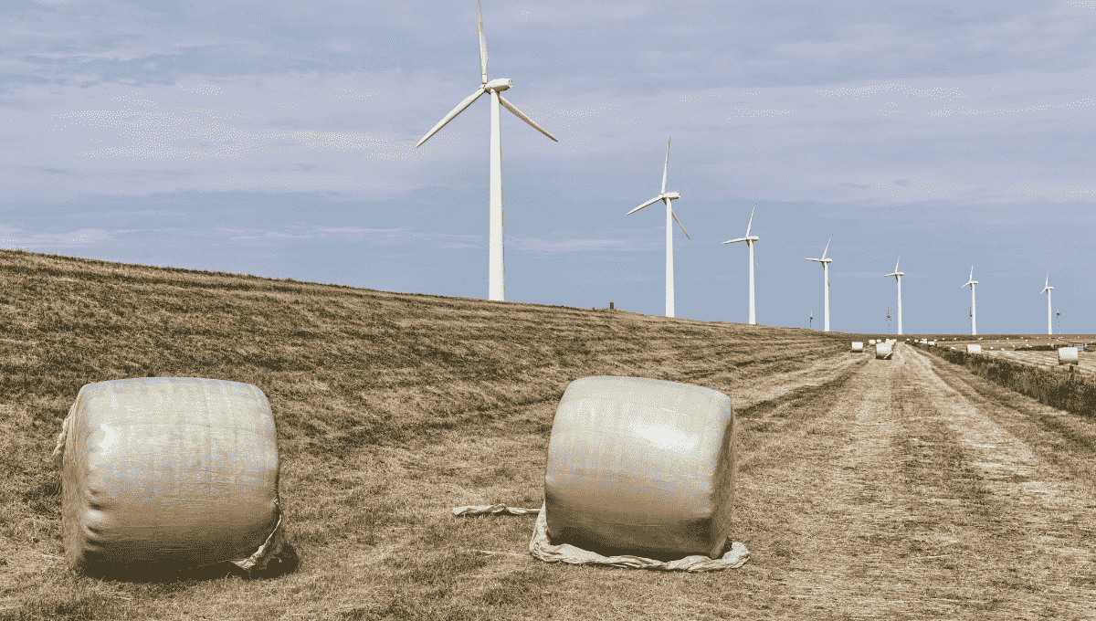 Why are Hay Bales Wrapped in Plastic