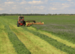 alfalfa tons per acre