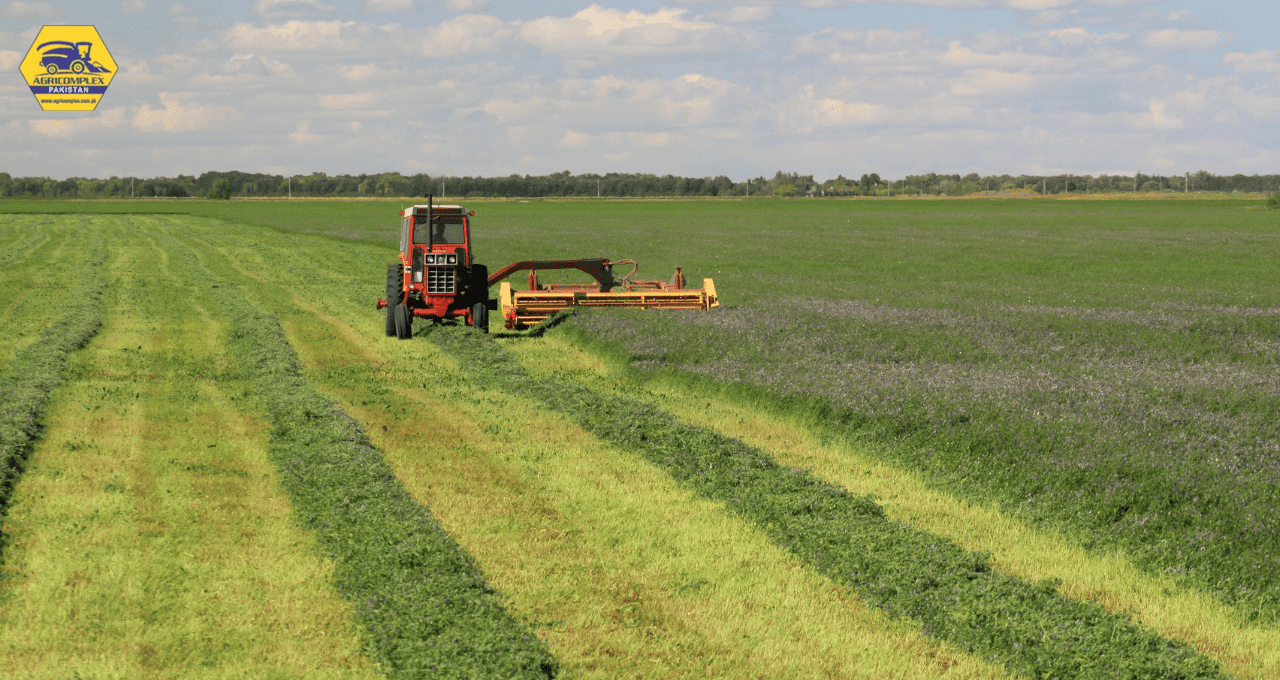 alfalfa tons per acre alfalfa tons per acre