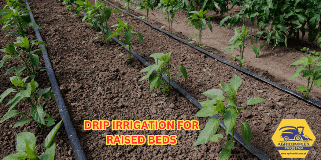 drip irrigation for raised beds drip irrigation for raised beds