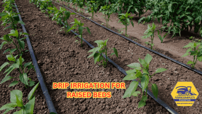 drip irrigation for raised beds drip irrigation for raised beds
