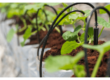 drip irrigation system design