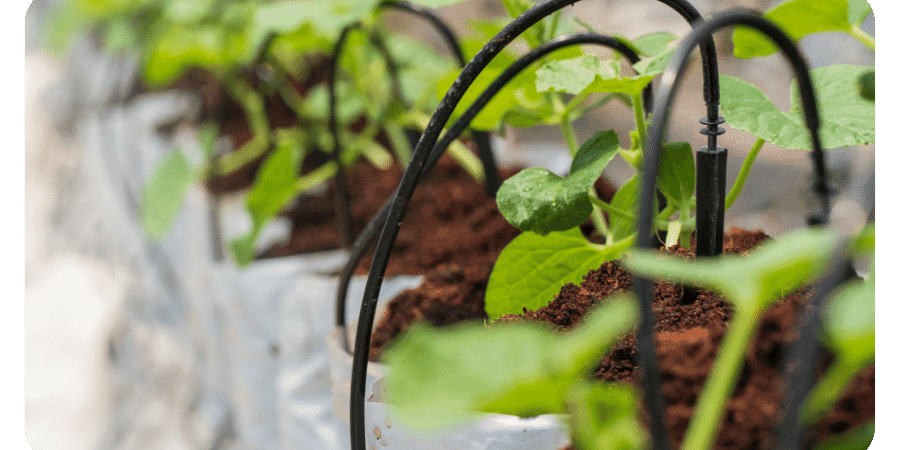 drip irrigation system design