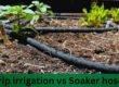 drip irrigation vs soaker hose