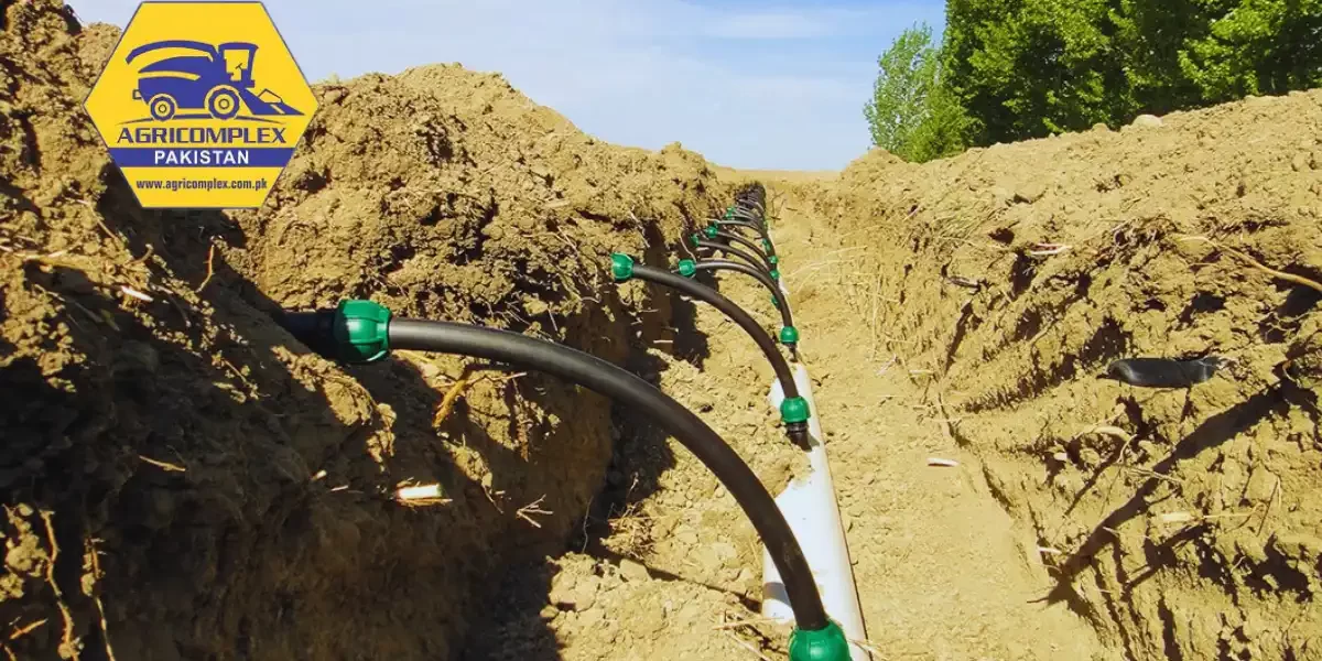 subsurface drip irrigation subsurface drip irrigation
