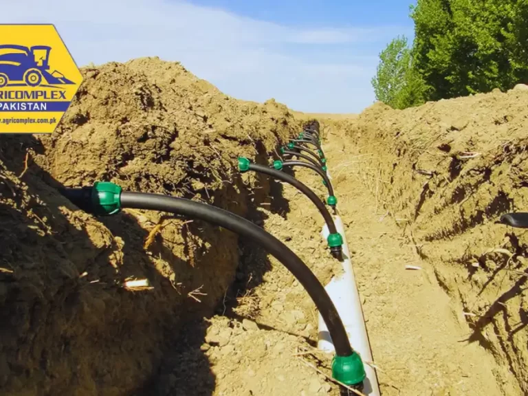 subsurface drip irrigation