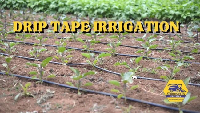 DRIP TAPE IRRIGATION Drip Tape Irrigation