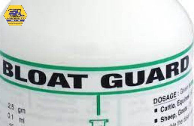 Bloat Block For Cattle: A Complete Positive Guideline In 2023 2 Bloat Guard