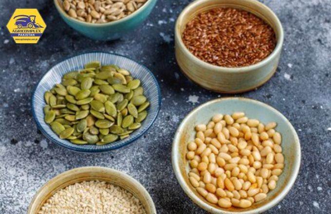 Discover the World of Alfalfa: From Seeds to Profit, Unveiling the Journey In 2023 1 types of alfalfa seeds