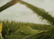 what is corn silage